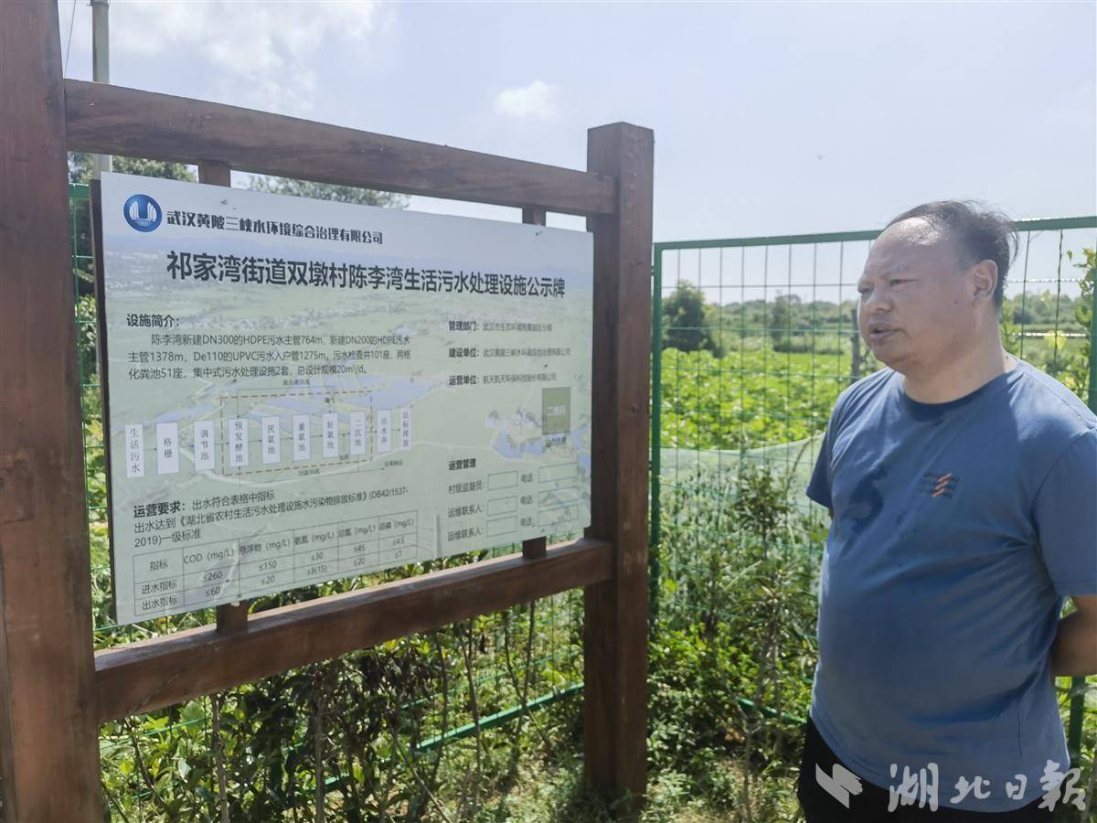 湖北最大农村生活污水治理项目投运