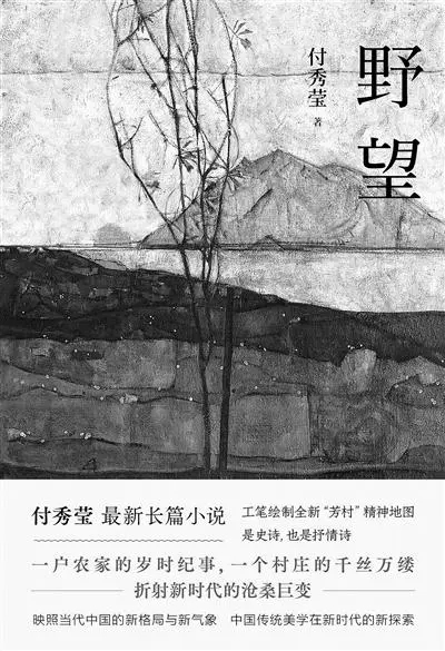 《野望》的“新乡村浮世绘”全景式乡村书写的摹本