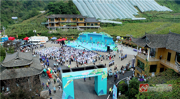 行走慢城 萄醉中方 中方县旅游发展大会暨刺葡萄文化旅游节启幕