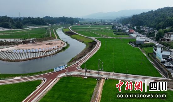 雅安雨城：新型农业产业赋能乡村振兴