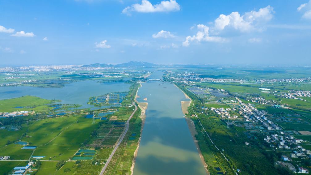 党建领航“一主业四特色” 蹚出乡村振兴致富路