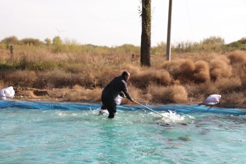 特色水产绘就乡村振兴新图景
