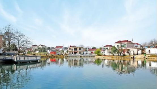 特色产业与暖心养老共绘乡村振兴新画卷