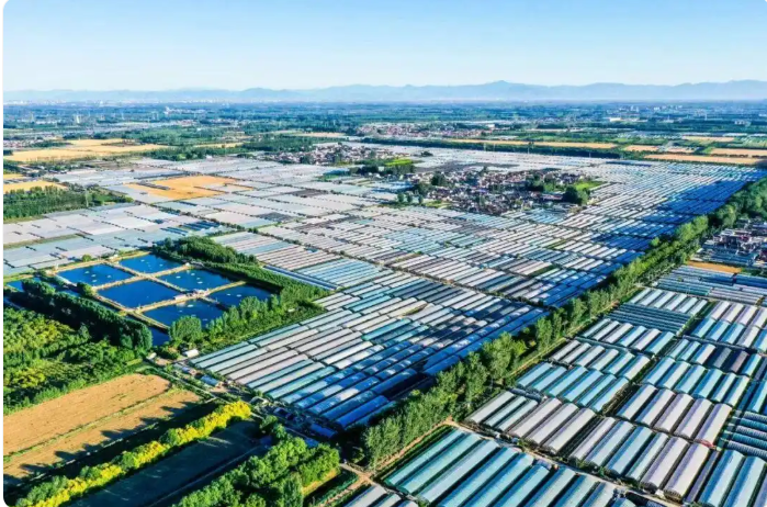 北京唯一 顺义拟入选国家乡村振兴示范县