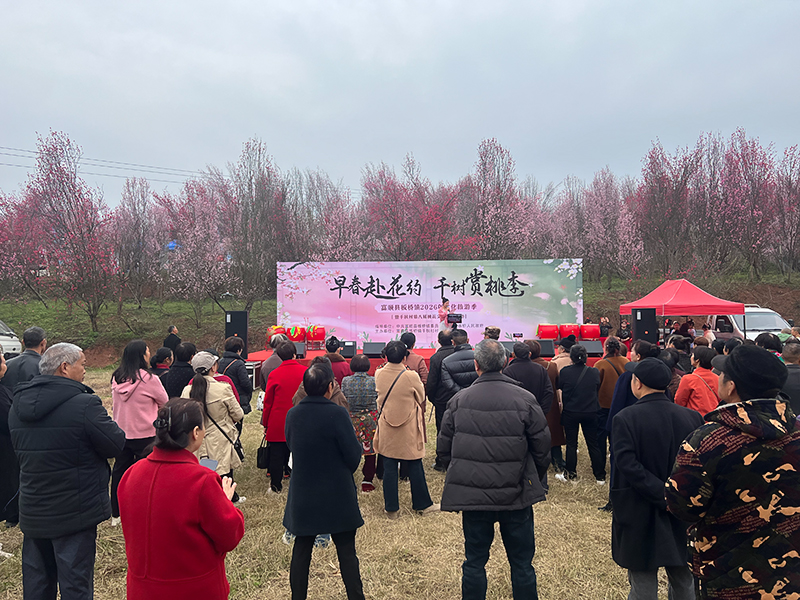 自贡富顺县板桥镇桃花文化旅游活动启幕 绘就乡村振兴新图景