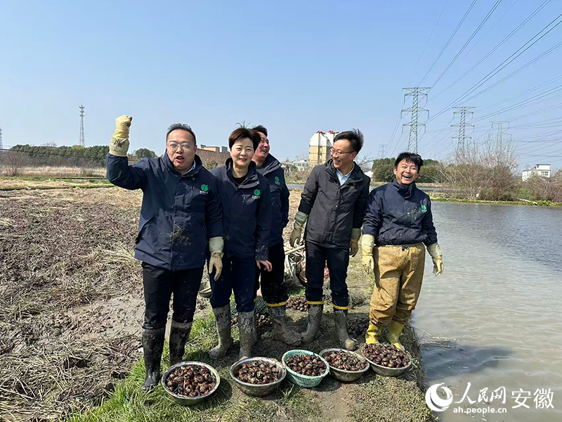 书记团面向镜头展示刚刚挖出的马蹄。人民网 丁纪摄
