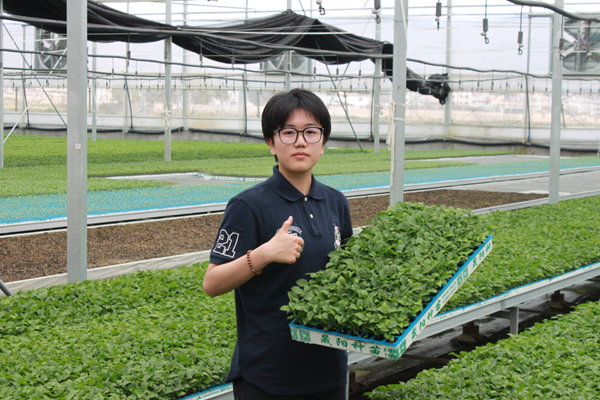 云师学子返乡探痛点 电商领航峨山辣椒产业振兴