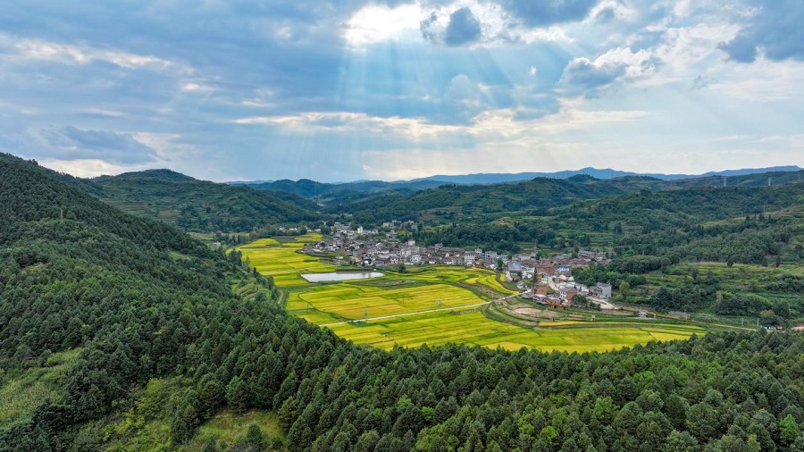 云南曲靖：老村焕新绘出乡村文旅新画卷