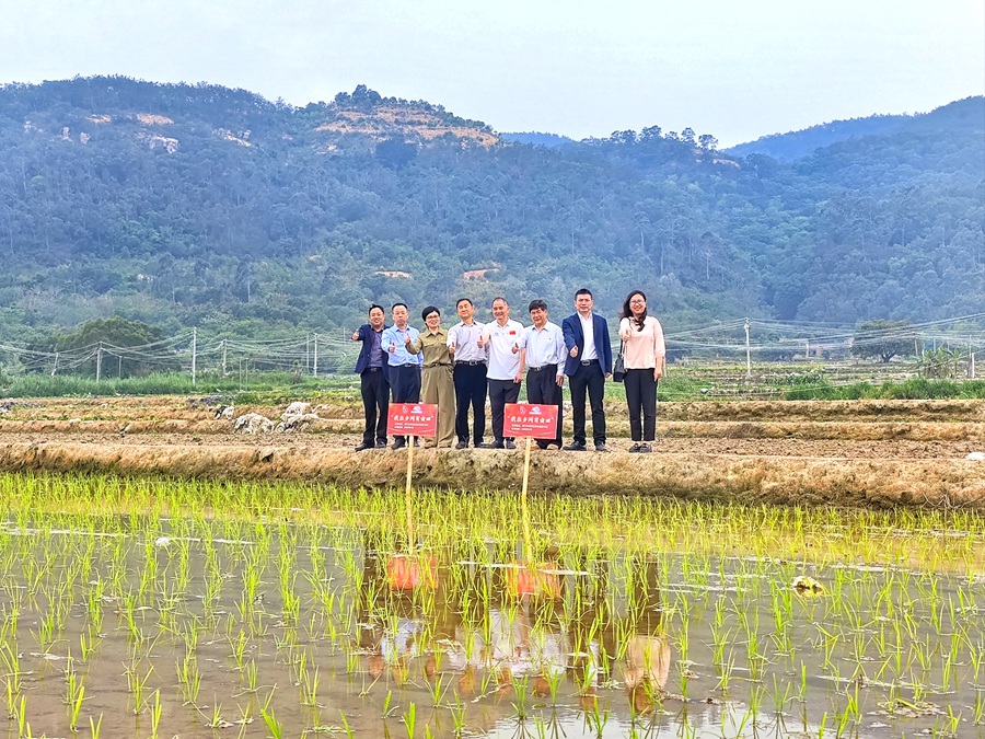 开展“助力乡村振兴 我在乡间有亩田”党员志愿服务活动。厦门市医保局供图