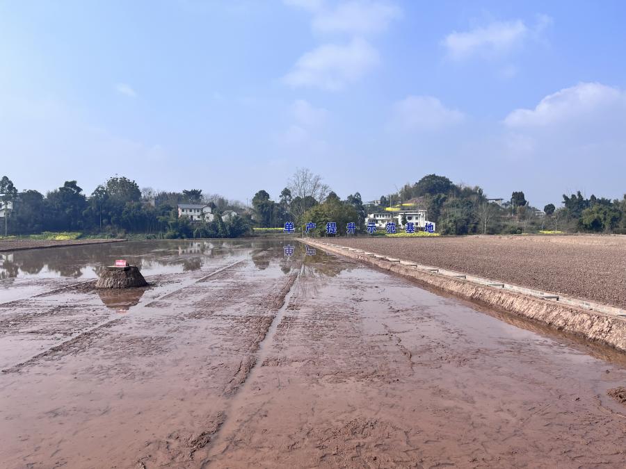 春天里，乐山吹响乡村振兴进军号