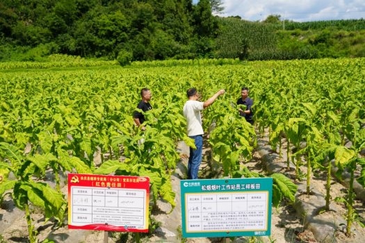 “三维融合”擘画乡村振兴新画卷