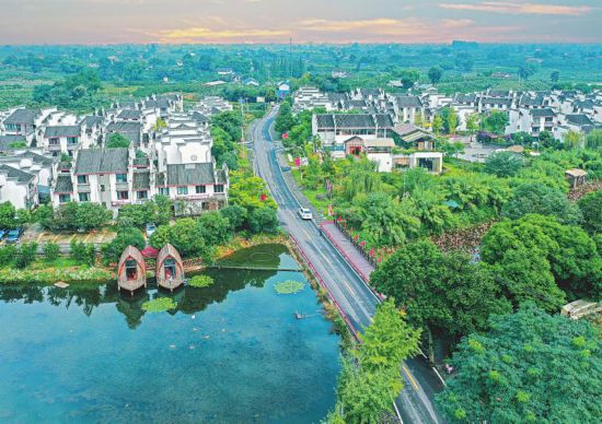 成都市蒲江县：推进“一村一企”建设 激活乡村振兴新动能