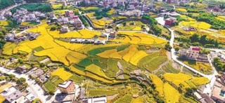 跻身国家农村综合性改革试点试验区 厦门同安拟打造凸显两岸融合特色乡村振兴新样本