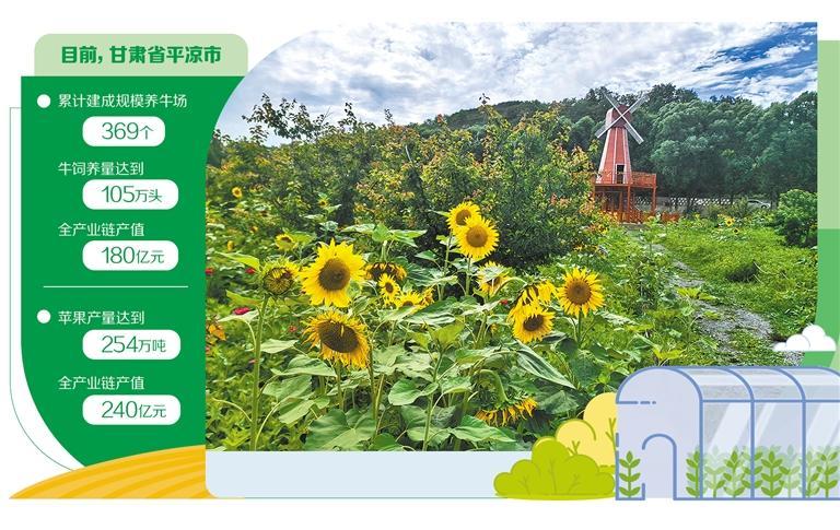 甘肃平凉：精品农业添色乡村振兴