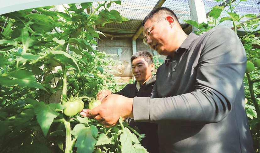 奔走在乡村振兴路上的“兵支书”