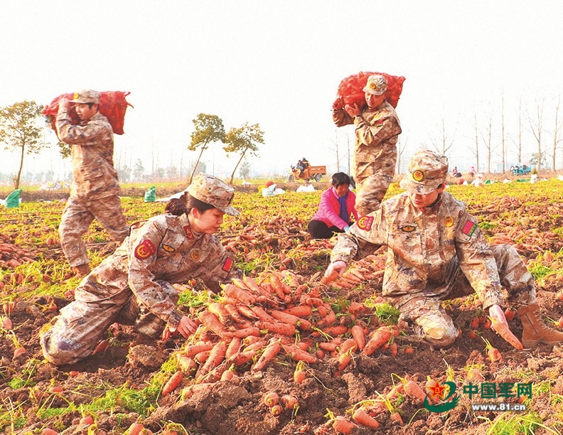 共绘乡村振兴和美画卷