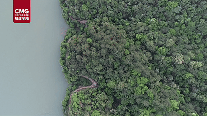 乡村振兴进行时