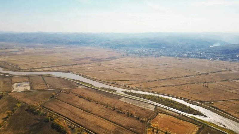 榆阳：“三农”发展硕果盈枝 振兴之路阔步向前