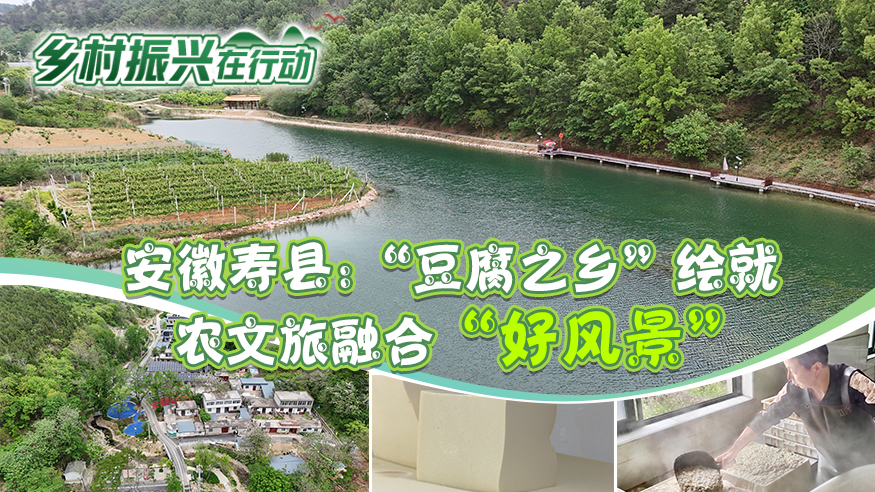 安徽寿县：“豆腐之乡”绘就农文旅融合“好风景”