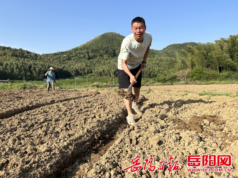 李黎:18年坚守,他带领乡亲种出“致富菜”