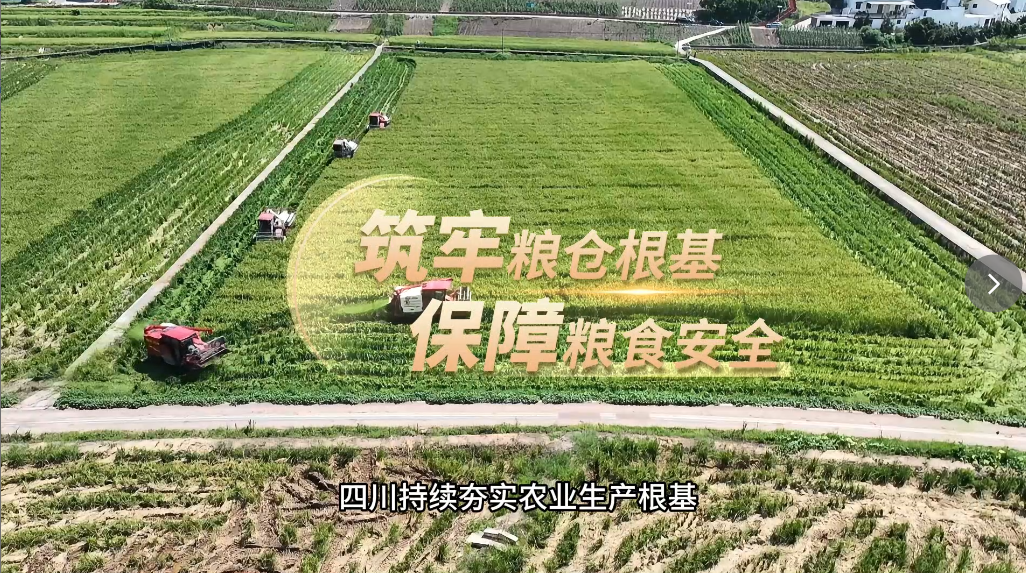数字里的 “新三农”