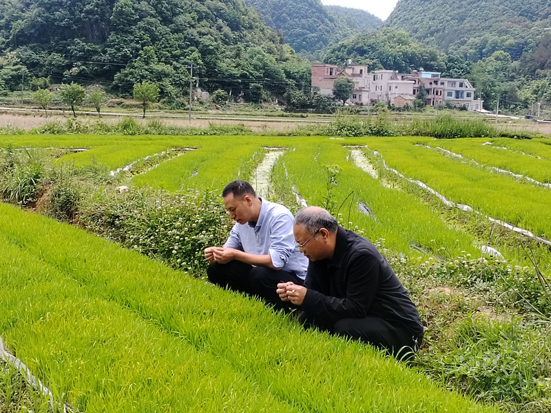 独山县农业农村局深耕学思践悟 赋能“三农”发展。