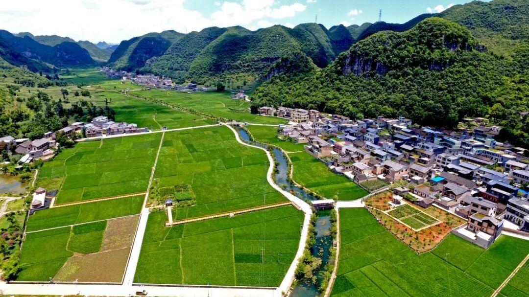 把布依族新农村建设得越来越好 贵州兴义楼纳村以民主法治建设绘就乡村振兴新图景